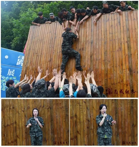 团队拓展训练，志成红木人团结奋斗，共闯难关 